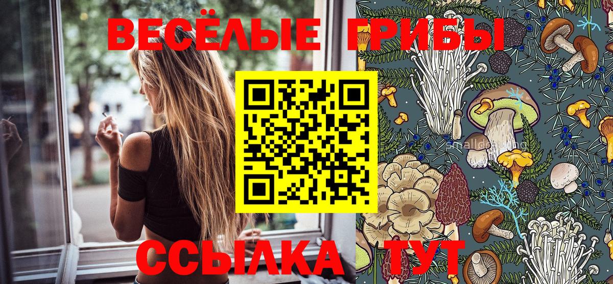 Псилоцибиновые грибы мухоморы Серов